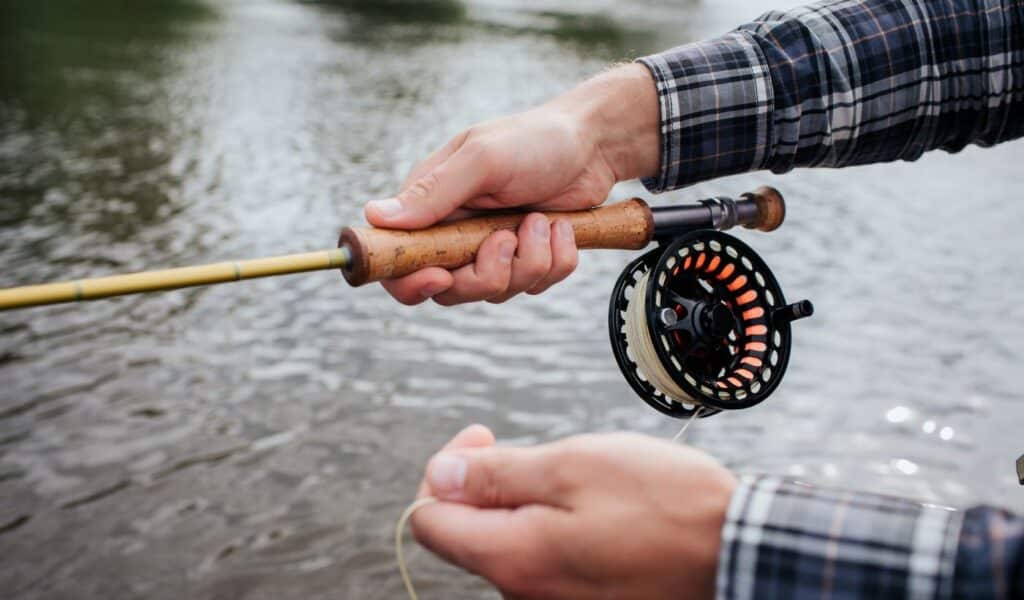 10 Best Fly Reels Under $50 Reviewed