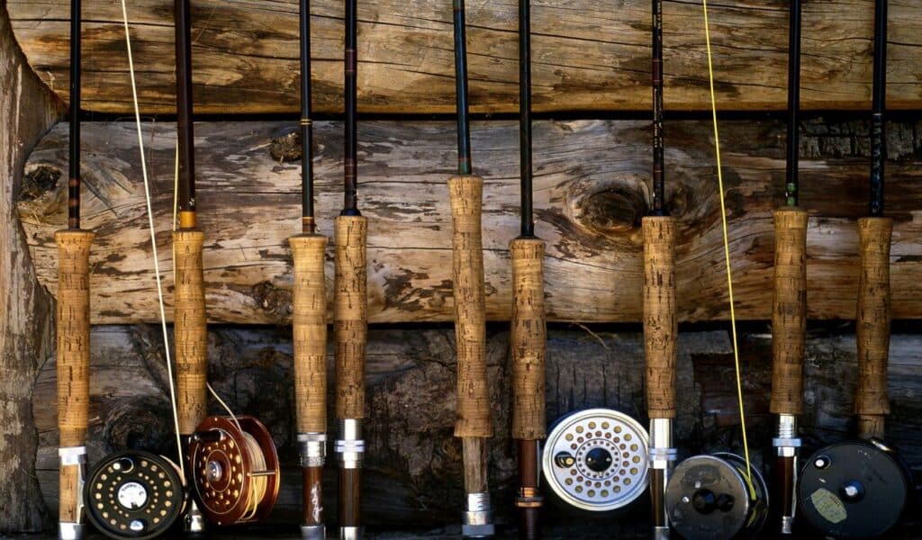10 Best Fly Rods Under $200