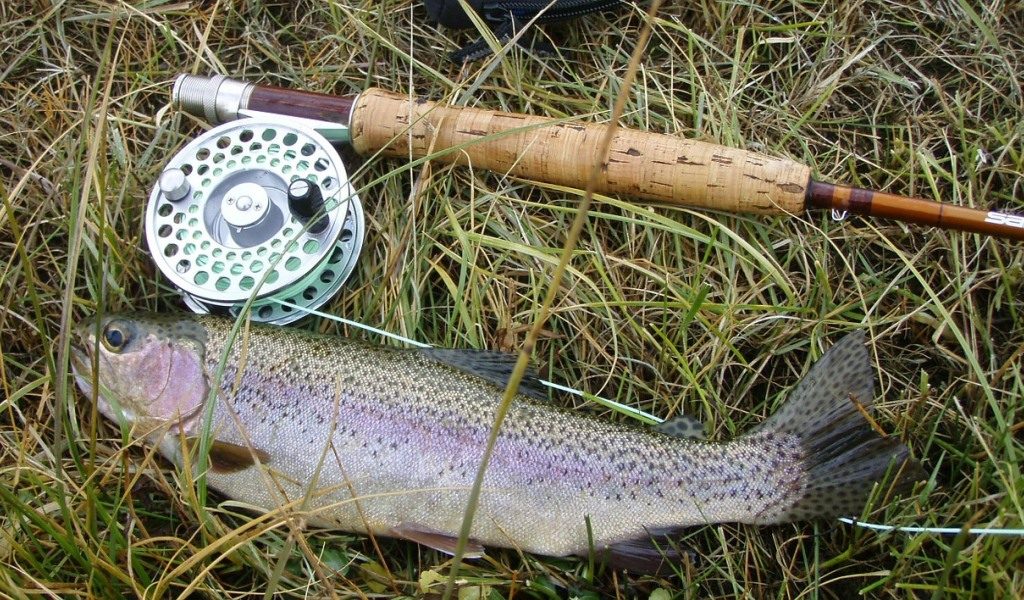 Rainbow Trout Fly Fishing Tips